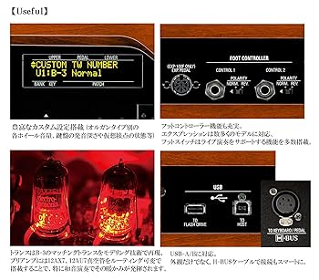 Amazon.co.jp: HAMMOND ハモンド HAMMOND XK-5 61鍵+12